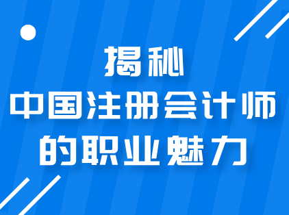 揭秘中国注册会计师的职业魅力